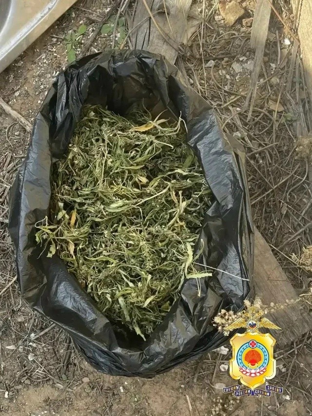 ️В Юстинском районе у местного жителя изъяли марихуану и незаконно выловленную рыбу