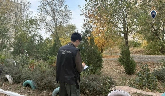 ️В Элисте возбудили уголовное дело после нападений бездомных собак на людей