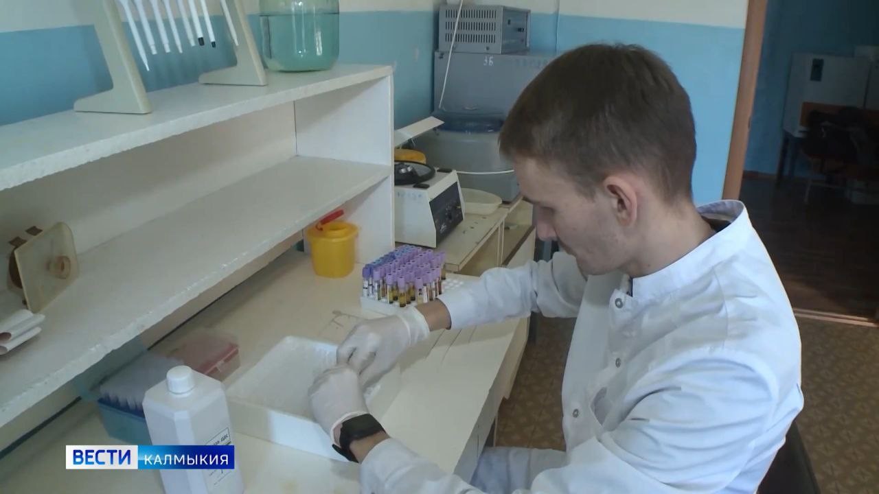 Более 1600 медработников региона с начала текущего года получили специальные социальные выплаты.
