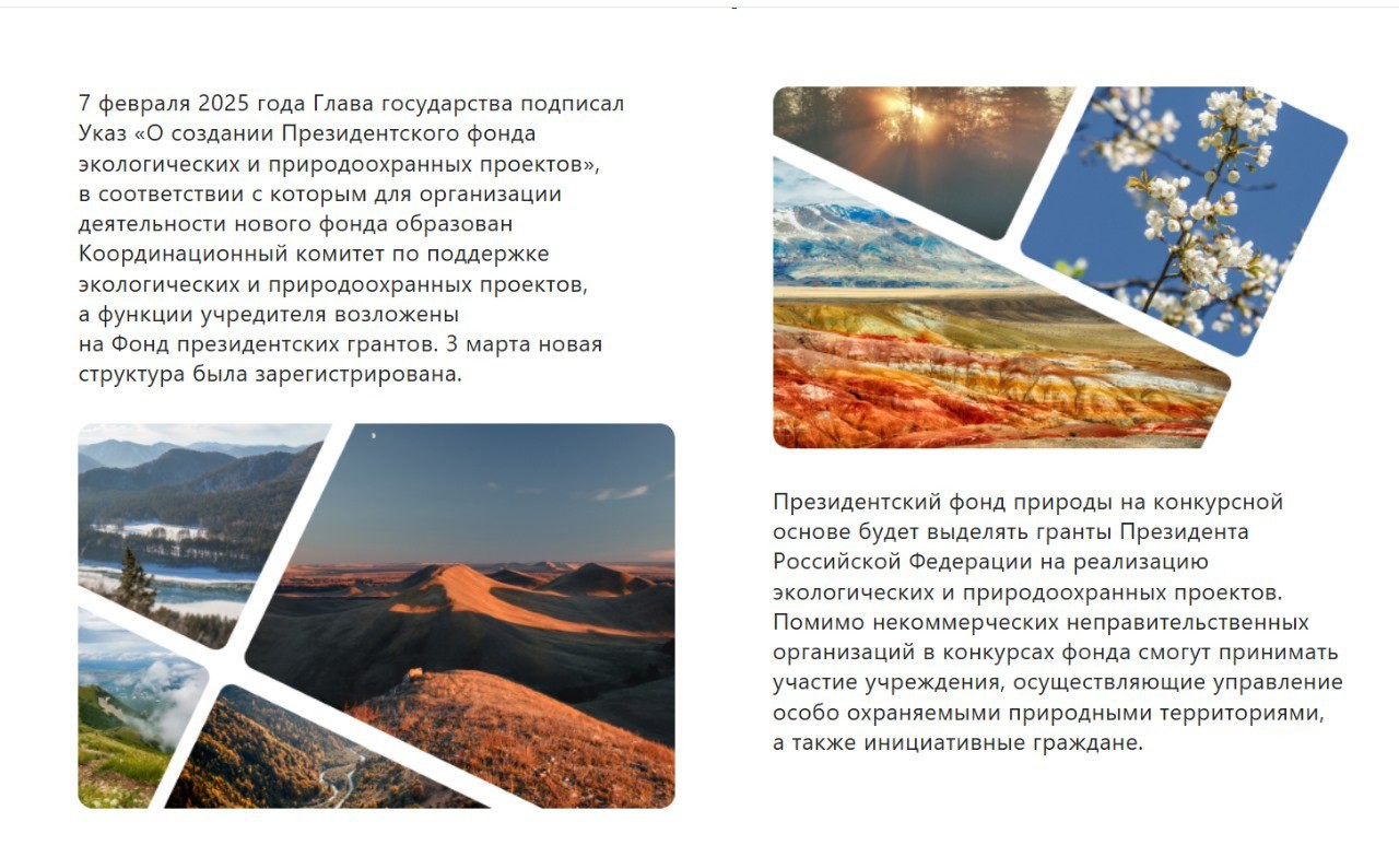 Проект «Чёрные земли» победил в конкурсе Президентского фонда природных инициатив.