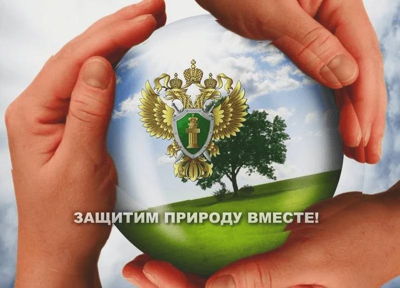 Прокуратурой Юстинского района выявлены нарушения природоохранного законодательства