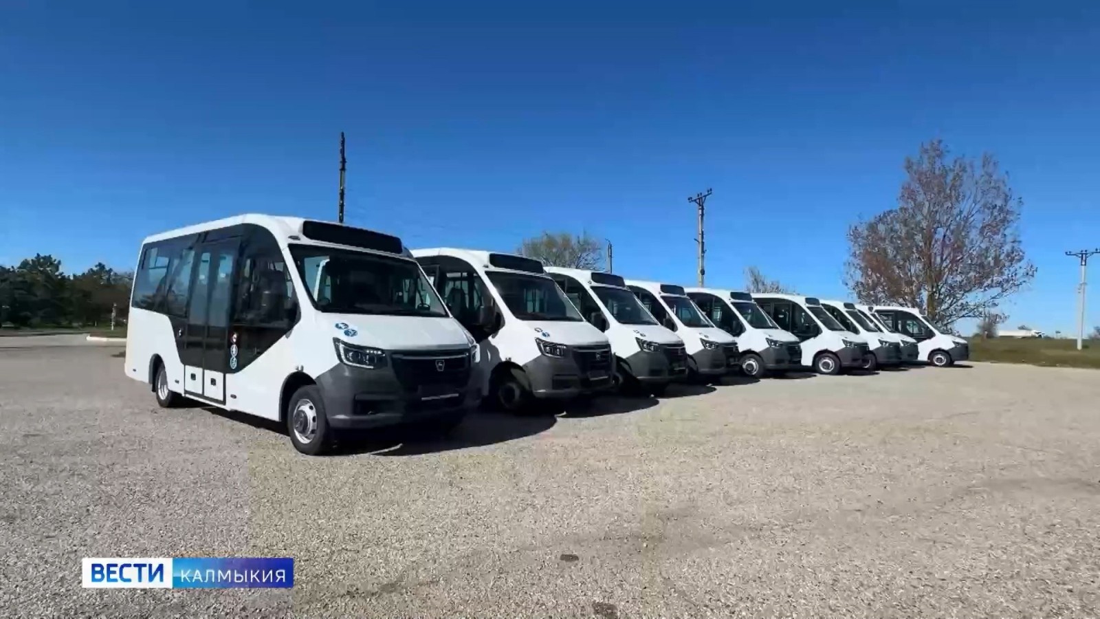 Калмыкия получит более 50 автобусов по федеральному проекту Минтранса «Развитие общественного транспорта»