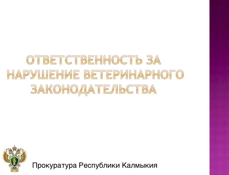 ️В Октябрьском районе выявлены нарушения ветеринарного законодательства