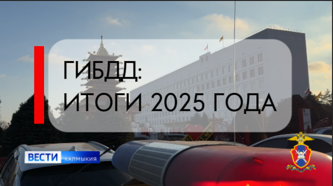 ОФИЦИАЛЬНАЯ СВОДКА ГИБДД КАЛМЫКИИ: ИТОГИ 2025 ГОДА