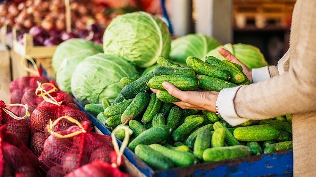 В Калмыкии подешевели тепличные овощи и перестали расти цены на лекарства