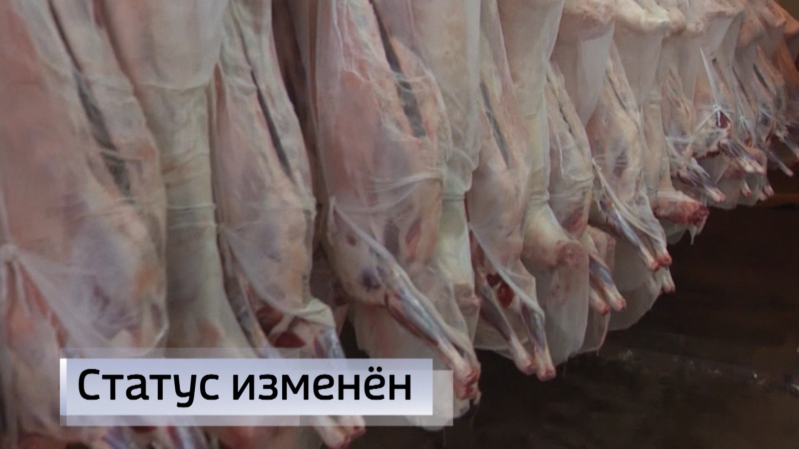 Фермеры Калмыкии снова могут экспортировать мясо и мясную продукцию внутри страны и за ее пределы