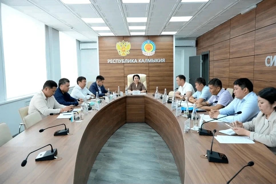 В Правительстве Калмыкии обсудили поддержку пострадавших от пожаров