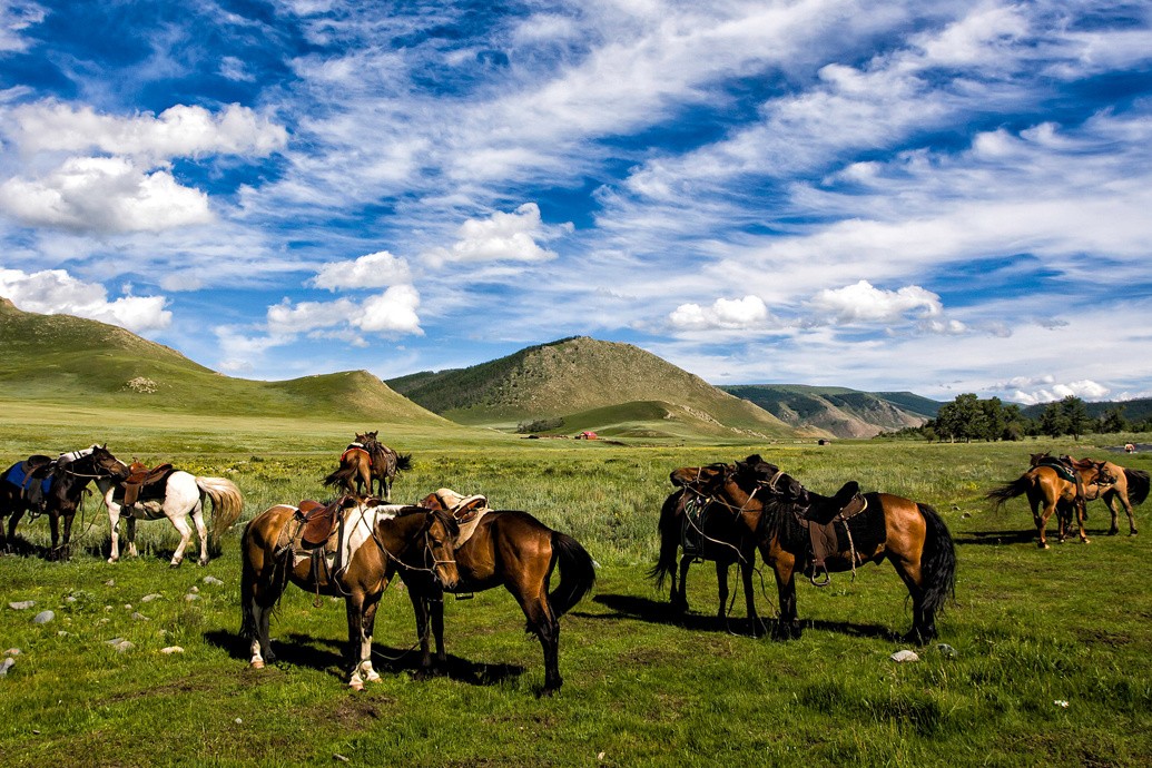 Достопримечательности Монголии: пустыня Гоби, острые скалы и буддийские храмы