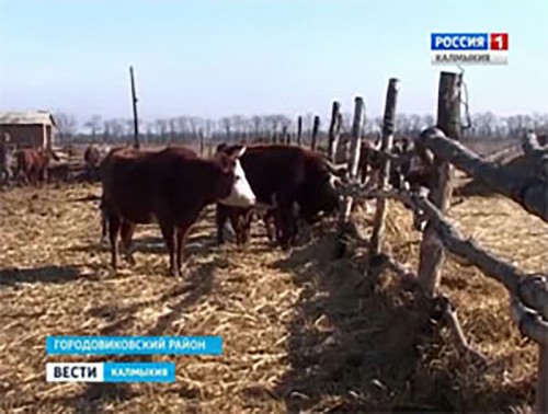 Более 85 млн рублей получили сельхотоваропроизводители