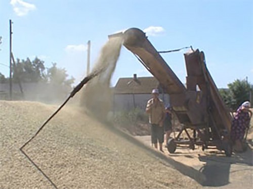 Растениеводы Калмыкии намолотили 330 тысяч тонн зерна. Уборка продолжается