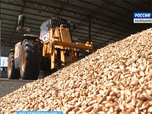 В Калмыкии завершается уборка зерновых