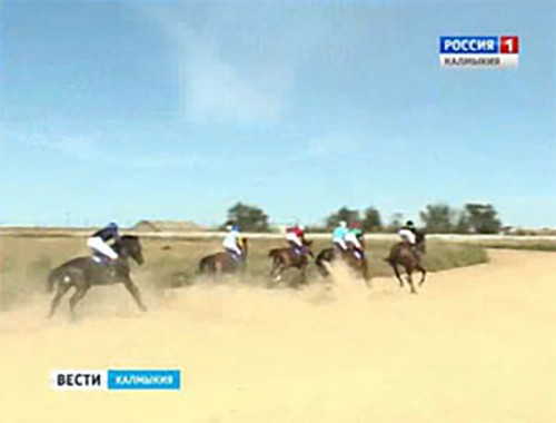 В Элисте впервые состоялись конные соревнования на Кубок Главы Калмыкии