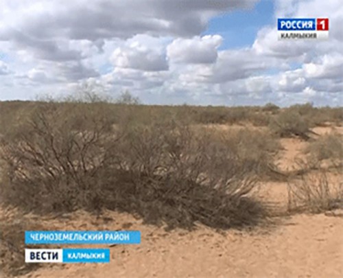 Проблема наступления песков на Юге России актуальна и сегодня