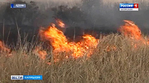 С начала 2017 года на территории республики обнаружено 16 очагов возгорания сухой растительности
