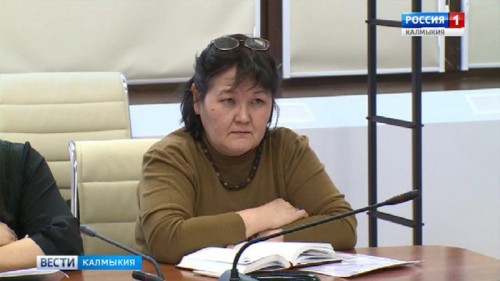 Члены Общественной палаты Калмыкии приняли участие в видеоконференции по проблемам СОНКО
