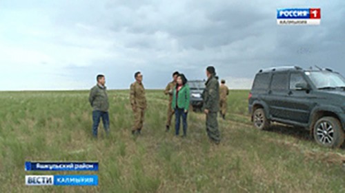 В незаконной охоте на сайгаков подозревается житель Астраханской области