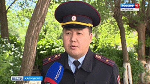 О сводке ГИБДД