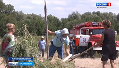 Более пяти тысяч кустов конопли уничтожено в Юстинском районе