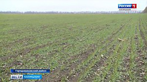 Хозяйства Городовиковского района готовятся к весенне — полевым работам