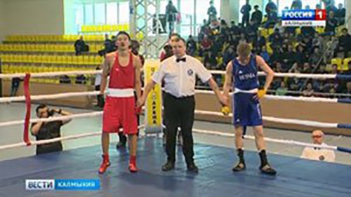 Калмыцкие боксеры выступят в полуфинале