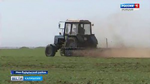 В хозяйствах Калмыкии продолжаются весенне-полевые работы