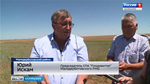Малодербетовскому району угрожает почвенная засуха