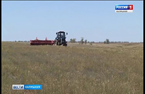 Введен режим повышенной готовности к ЧС