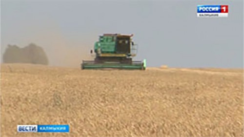 Порядка двухсот тысяч гектаров зерновых обмолотили в хозяйствах республики