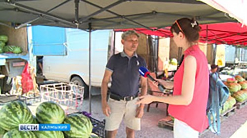 Жаркий июль ускорил созревание бахчевых культур