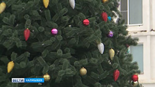 На главной площади Элисты сегодня установили новогоднюю ёлку