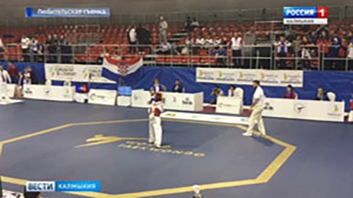 Даяна Бадмаева завоевала «серебро» первенства Европы по тхэквондо