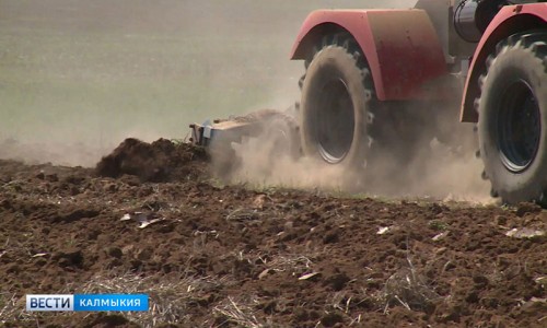 В Калмыкии засеяно более 200 тысяч гектаров озимых