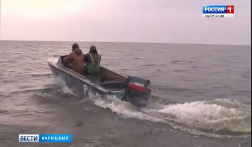 Сезон промышленного лова рыбы в Калмыкии начнется раньше