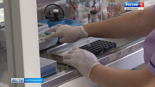 В Калмыкии резко выросло количество обращений по поводу укусов клещей