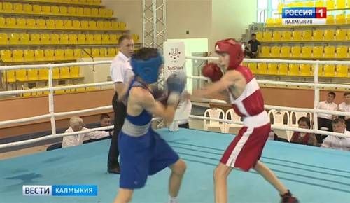 Стартовал 2-ой открытый турнир по боксу на призы Раимкуля Малахбекова