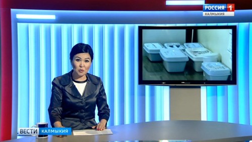 Вести «Калмыкия»: вечерний выпуск 31.05.2019