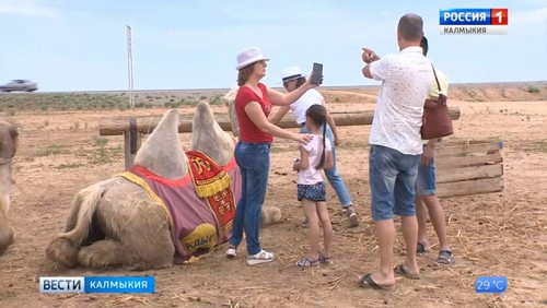 Лучшие проекты в сфере туризма получат гранты правительства Калмыкии