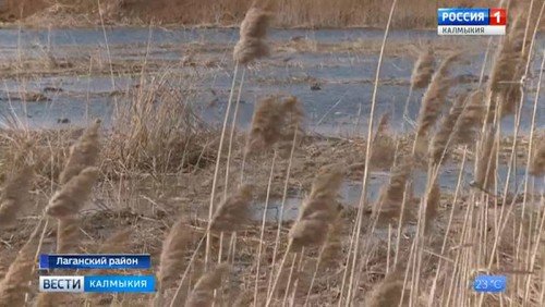 Лаганцы жалуются на задымление и смог