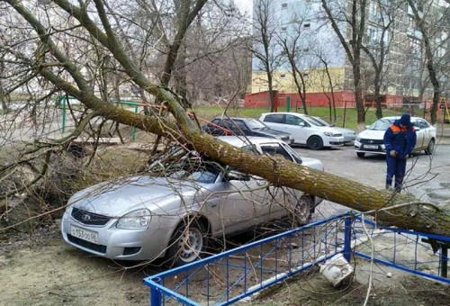 Сильный ветер стал причиной возникновения чрезвычайных ситуаций