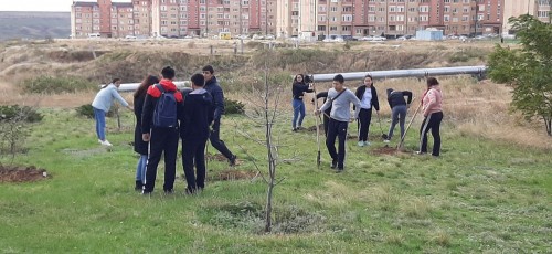 Стартовала Международная акция «Сад памяти»