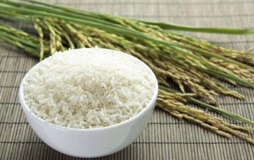 Урожайность риса в республике выросла на 30%