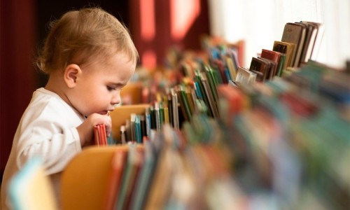 В Калмыкии собирают книги для детей Донбасса