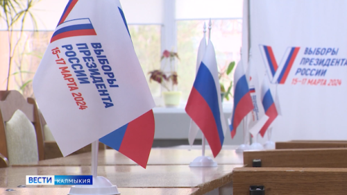 Активность избирателей второго дня выборов Президента РФ