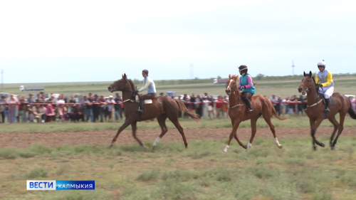 В поселке Ергенинский состоялся традиционный конно-спортивный праздник