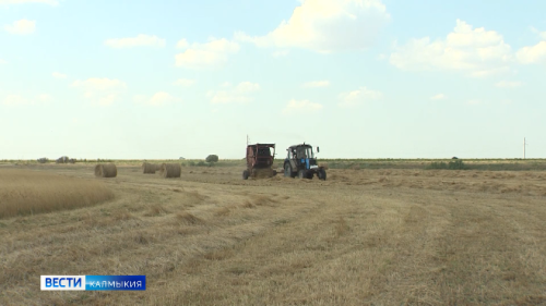 Сегодня в сводке регионального управления МЧС вновь значатся пожары