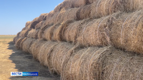 Кормозаготовка в самом разгаре