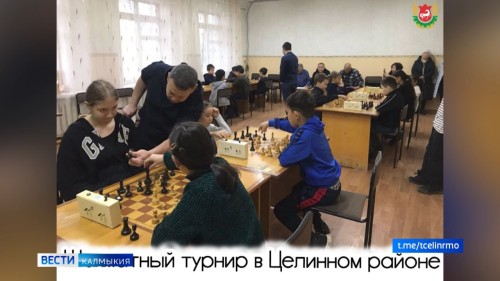 В Целинном районе прошло лично-командное первенство по шахматам на приз клуба "Белая ладья"