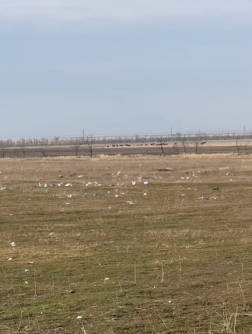 С понедельника в Городовиковском районе обещают возобновить сбор ТКО в частном секторе