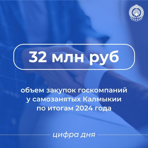 В Калмыкии в 2024 году госкомпании заключили с самозанятыми договоры на общую сумму 32 млн рублей. Это в пять раз больше, чем в 2023 году.