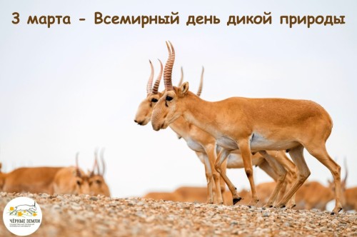 3 марта — Всемирный День дикой природы